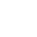 The icon of the section